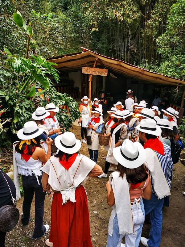 D`Arrieros Coffee Farm - Image 2