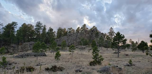 Black Hills National Forest - Image 3