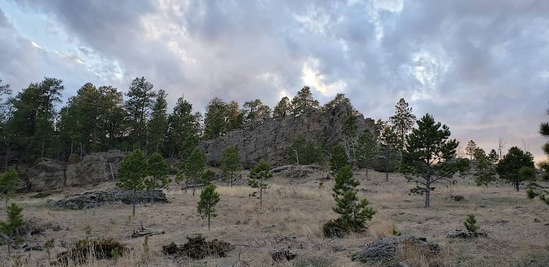 Black Hills National Forest - Image 3
