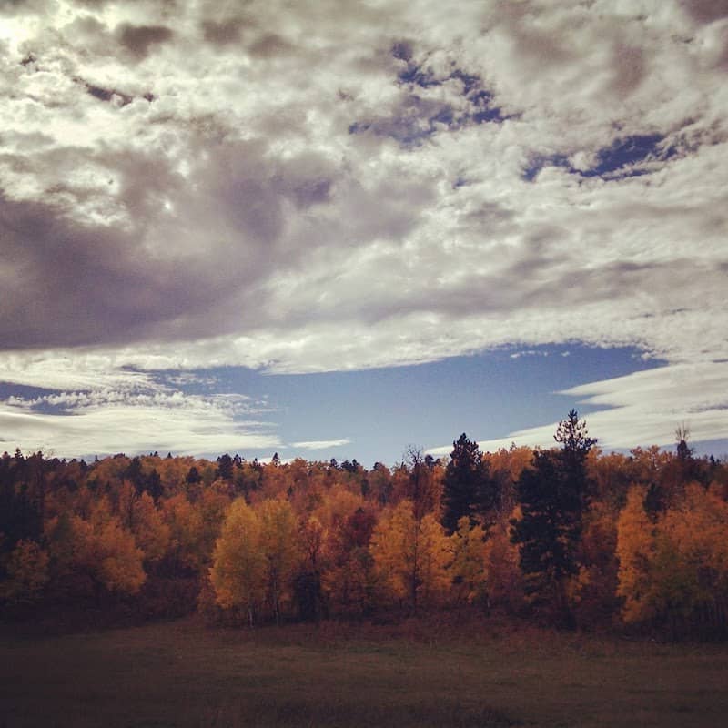 Black Hills National Forest - Image 2