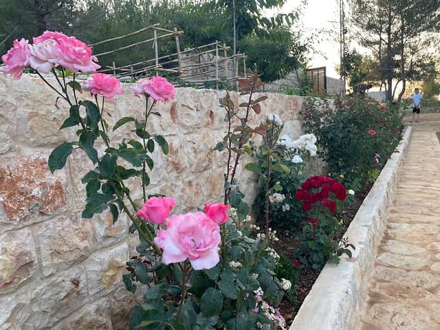 Al Rihan garden - Image 2
