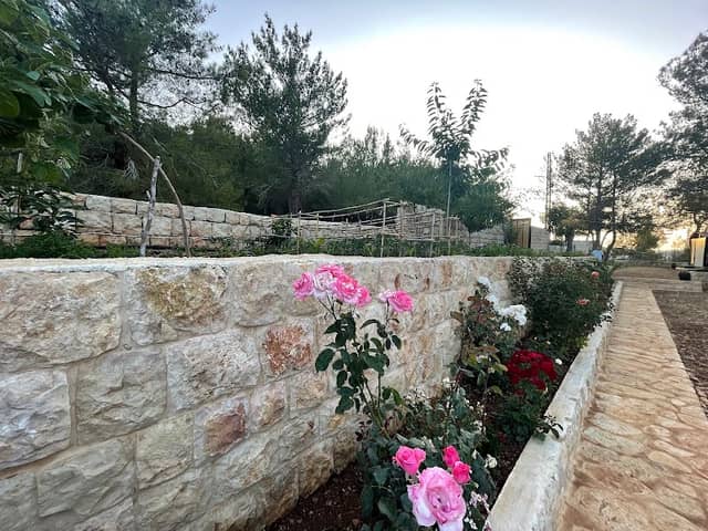 Al Rihan garden - Image 1