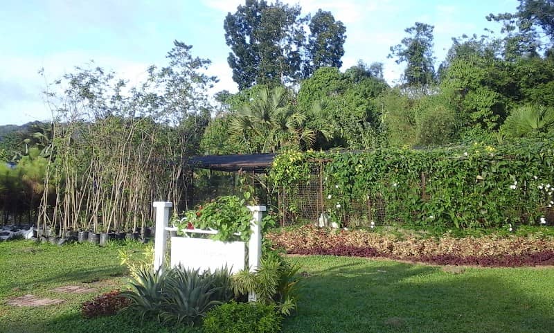 The Topiary - Image 2