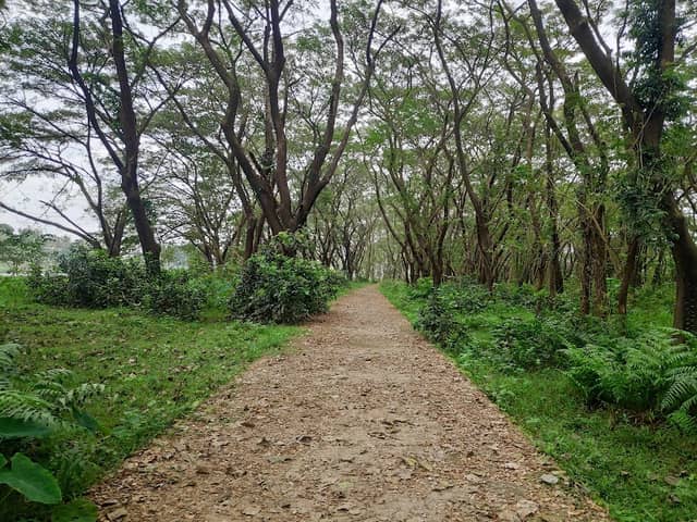 Periyar Forest - Image 1