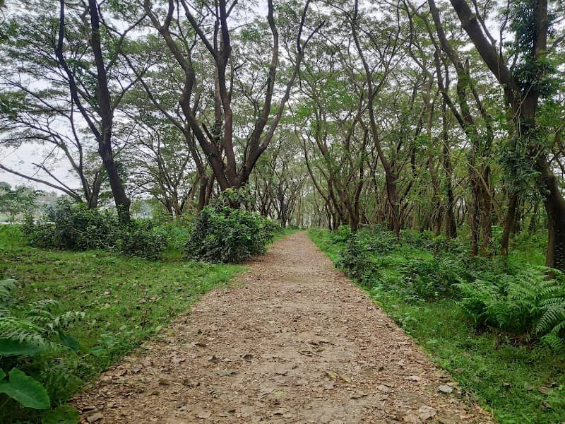 Periyar Forest - Image 1