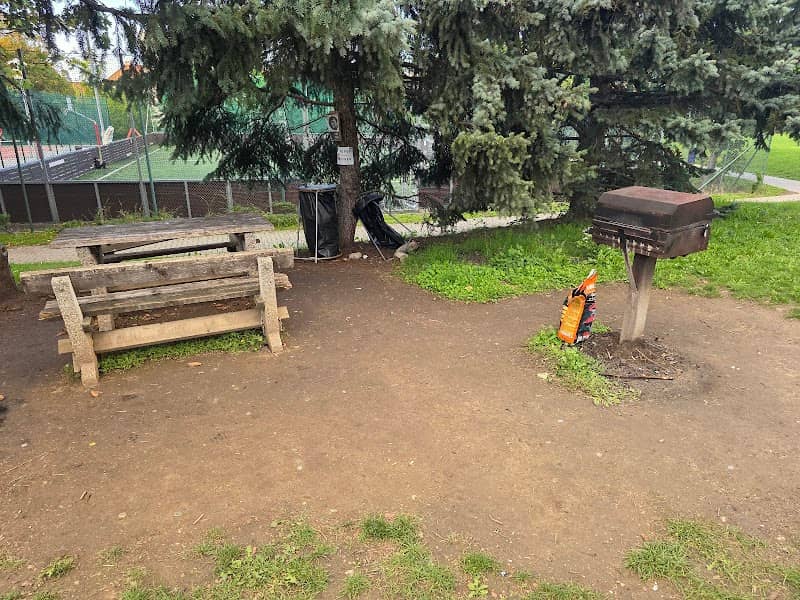 Grilovací místo vysoké školy - Image 1