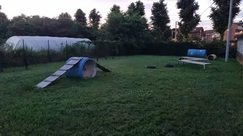 Area Cani - Image 1