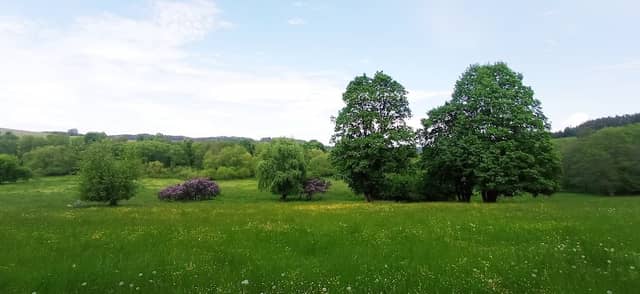 Pístovská louka - Image 1