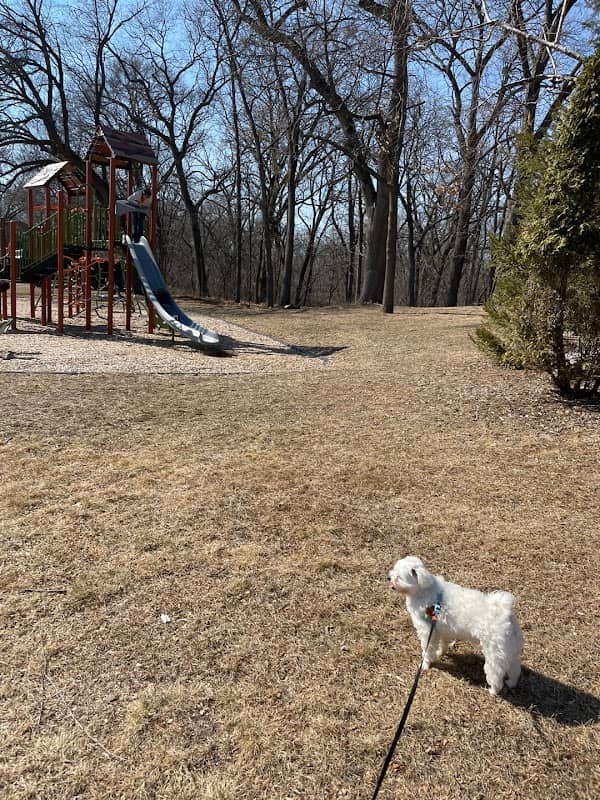 Parisi Park - Image 1