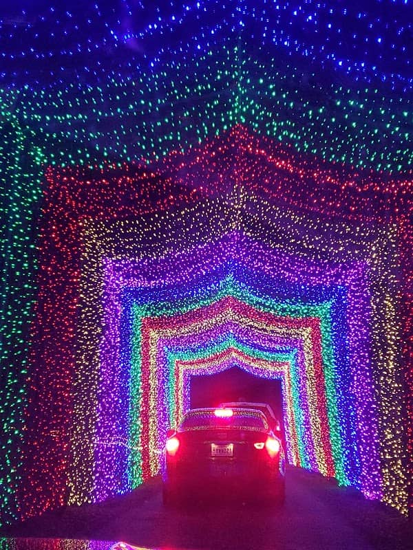 Candy Cane Lane - Image 2