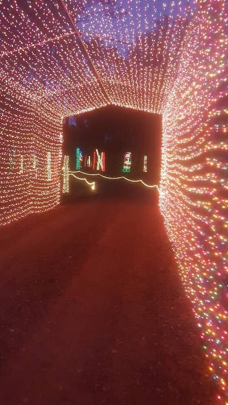 Candy Cane Lane - Image 3