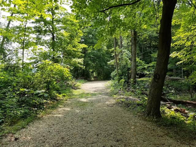 Big Hill Memorial Park - Image 1