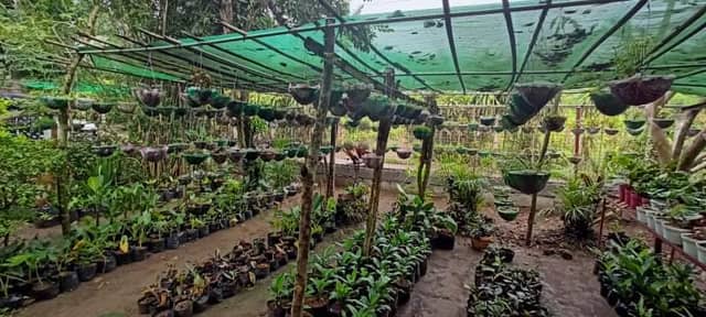 Nichole's Garden - Image 1