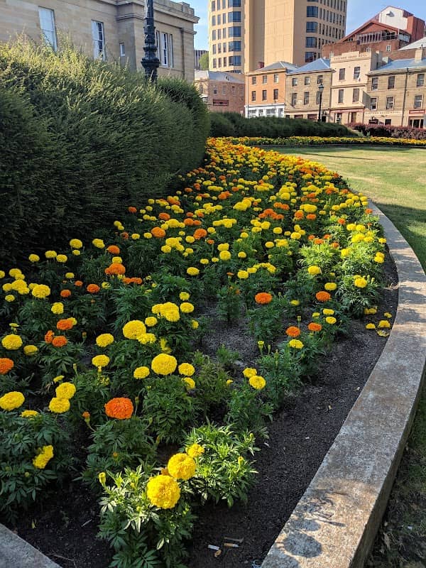 Parliament House Gardens - Image 1