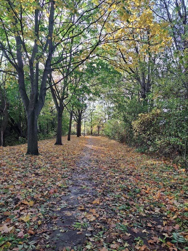 Werrington Park - Image 2