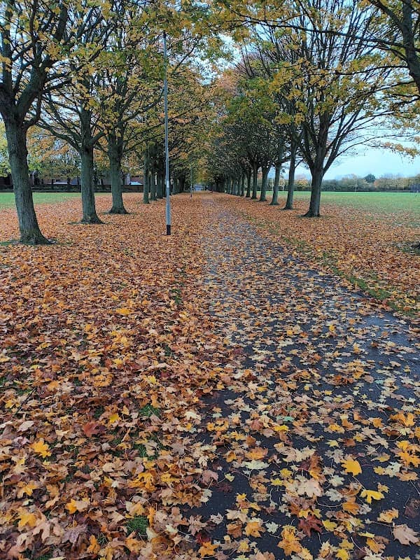Werrington Park - Image 1