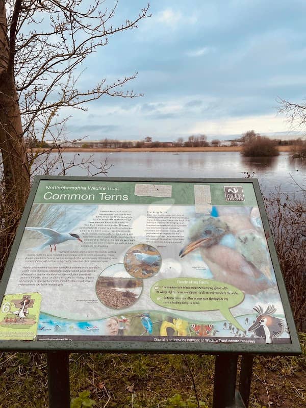 Wildlife Viewpoint - Image 3