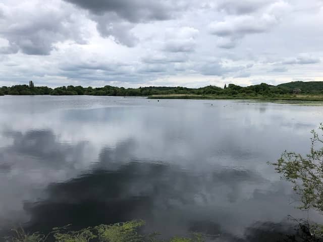 Wildlife Viewpoint - Image 1