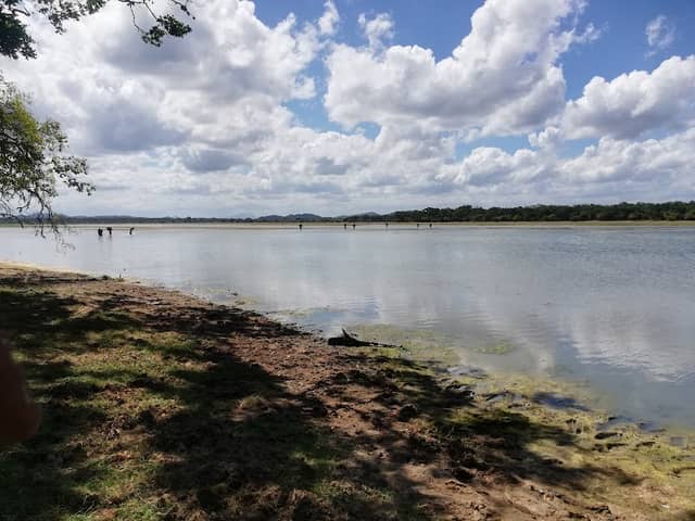 Pothana Lagoon Yala Block 2 - Image 1
