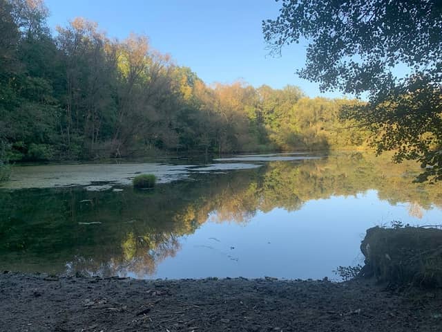 Ahrenrieder Teich - Image 1