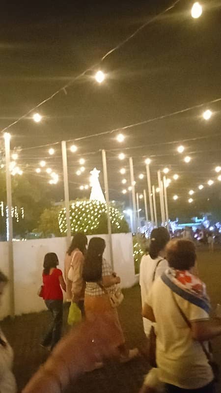 The Lights of Christmas - Image 1