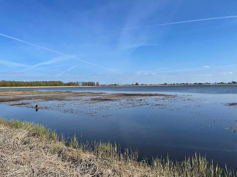 Vogelplas Starrevaart - Image 1