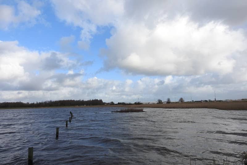 Vogelplas Starrevaart - Image 2