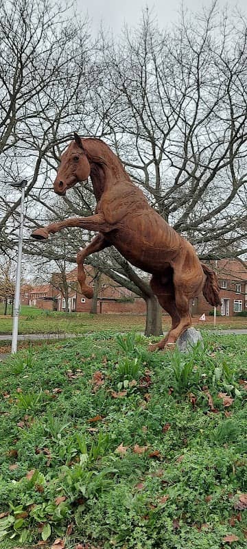 Arborfield Green Horses - Image 2