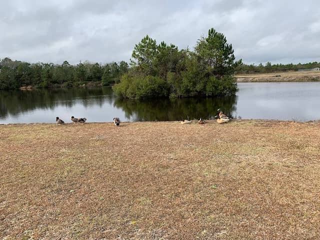 Bill Morris Park - Image 2