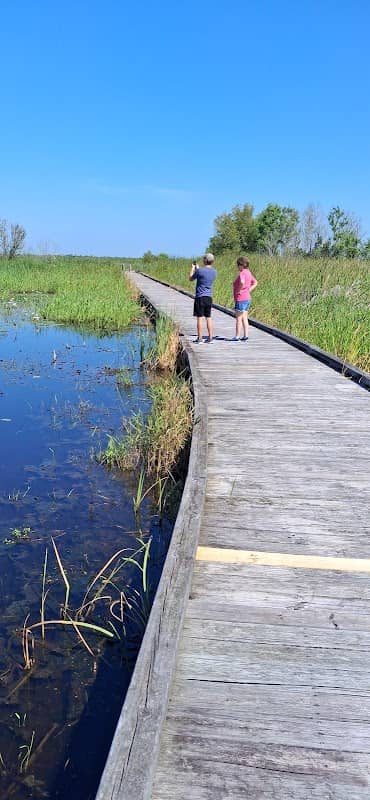 Pintail Boardwalk - Image 1