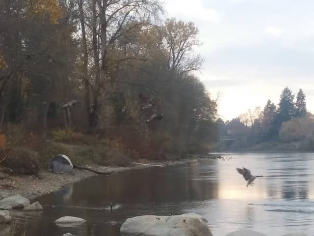 Baker Park - Image 1