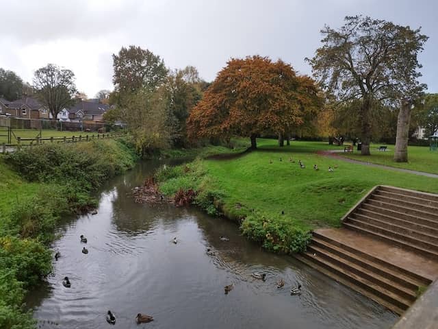 Gostrey Meadow - Image 1