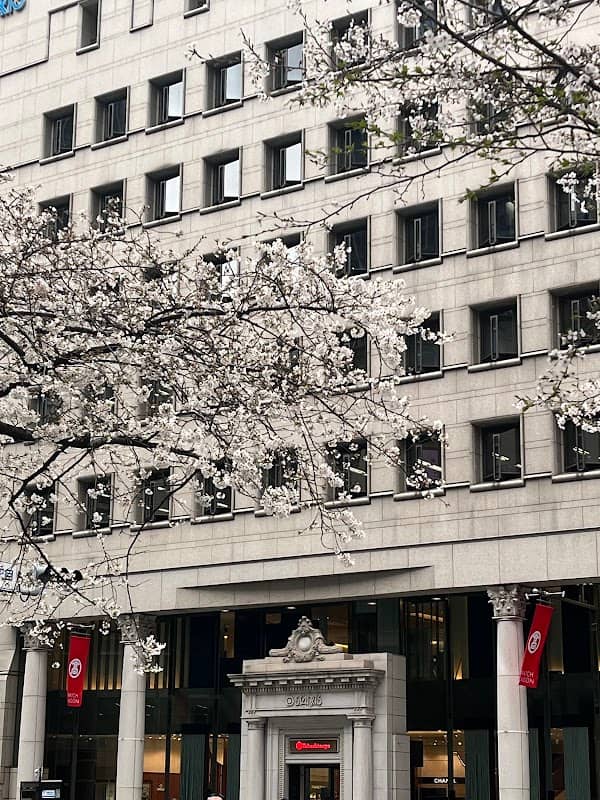 Sakura Dori - Image 3