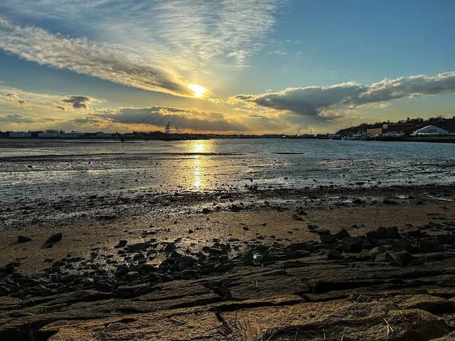 Thomas Knight Park - Image 2
