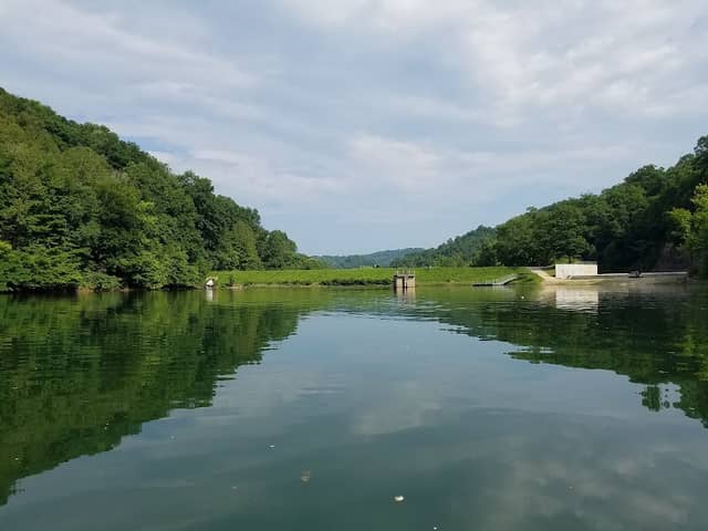 Burchell-Beech Creek WMA - Image 1