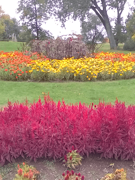 Sunken Gardens - Image 1