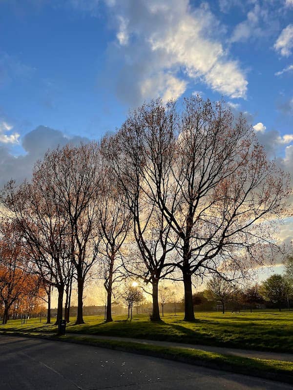 McAuley Park - Image 1