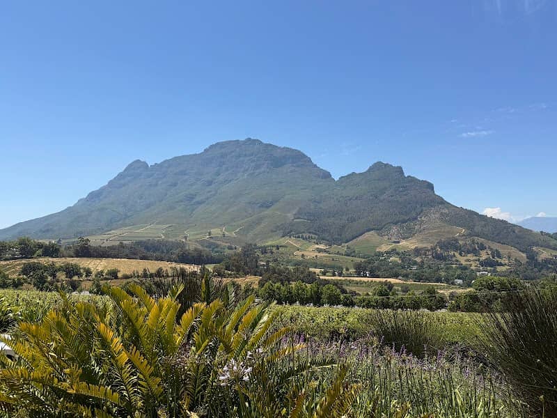 Banhoek Conservancy - Image 1