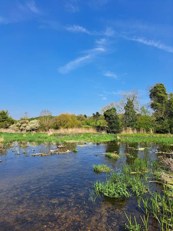 Bramford meadow - Image 1