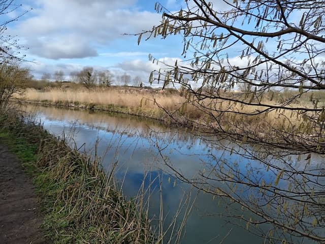 Bramford meadow - Image 2