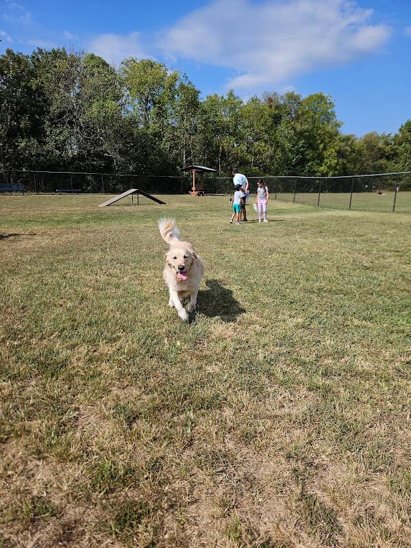 Nolensville Dog Park - Image 2
