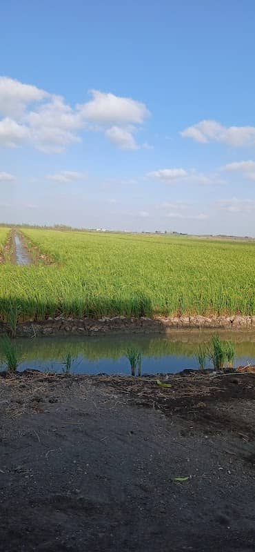 سهل الطين - Image 1