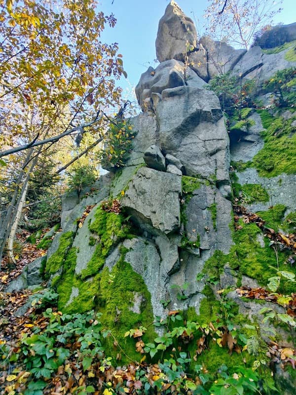 Přírodní památka Na Skalce - Image 2