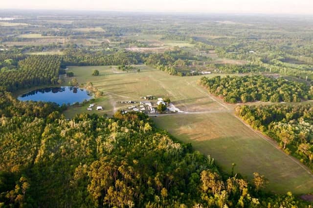 Wilotree Park - Image 1