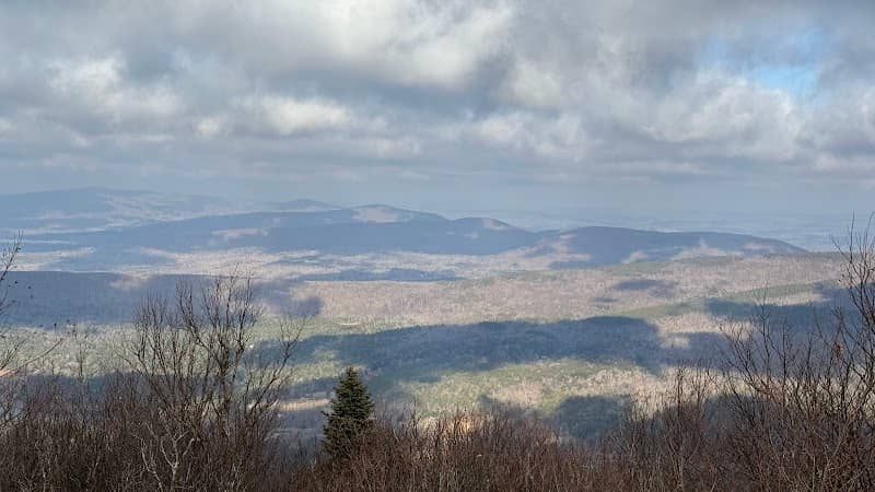Camel Hump - Image 1