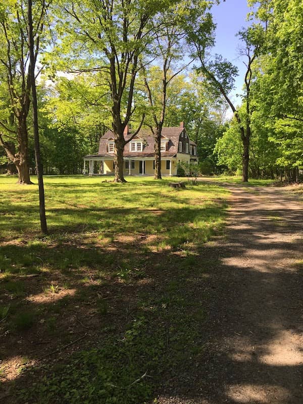 Historic Tulipwood - Image 1