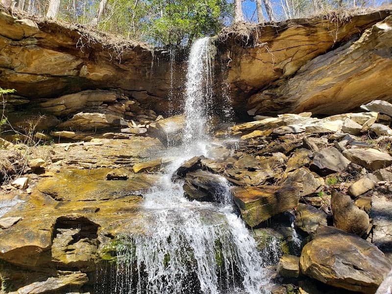 Contentment Falls Spring Cave - Image 2