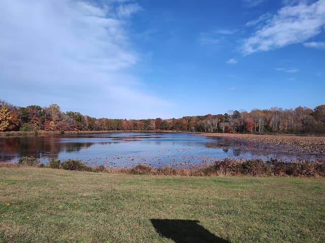 Myrtle Grove Wildlife Management Area - Image 2