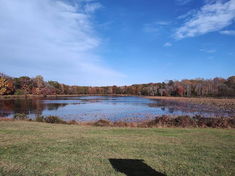 Myrtle Grove Wildlife Management Area - Image 2