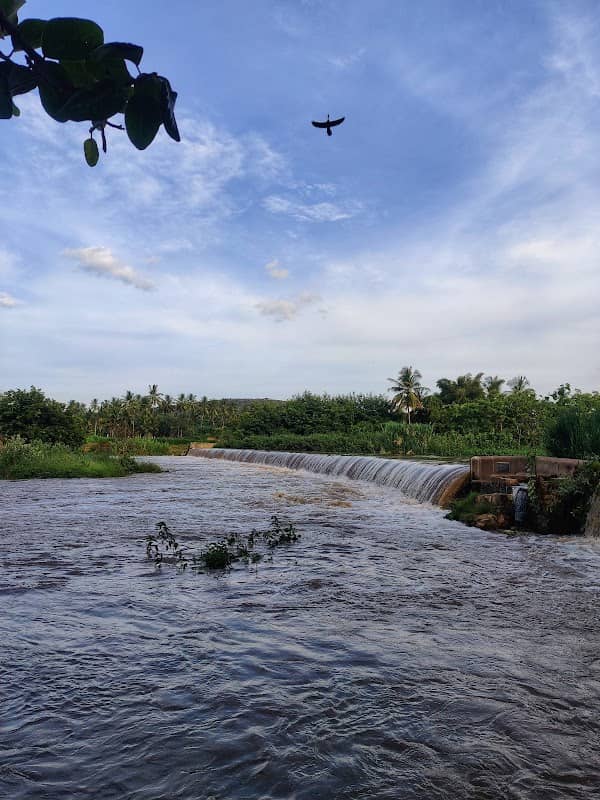 Karuppasamy temple Dam - Image 1